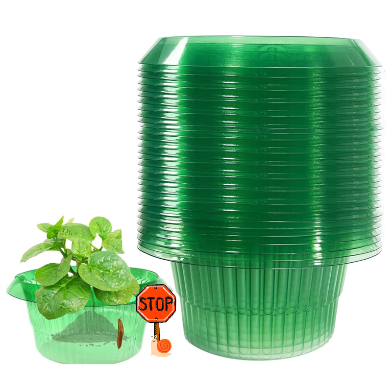 Plant Parents - 5-25Pcs 식물 슬러그 보호 반지 녹색