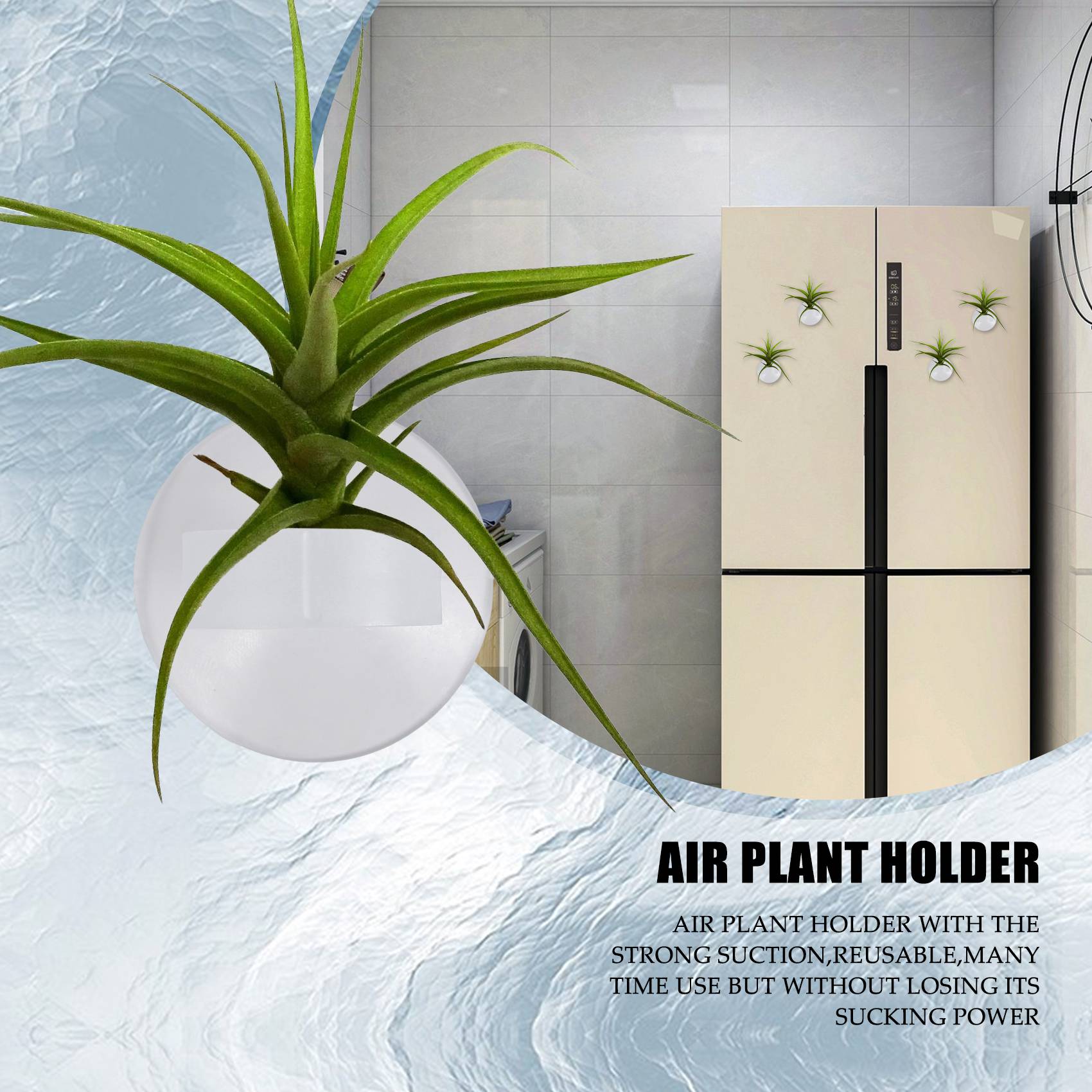 Air Plant Tillandsia - AC76-20개 에어 플랜트 홀더, 식물 화분