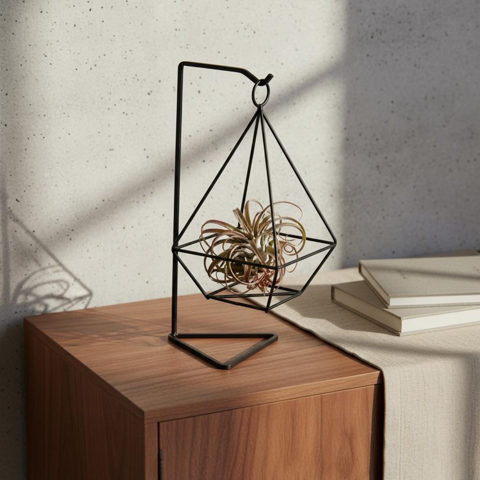 Air Plant Tillandsia - 기하학적 에어 플랜트 홀더 미니멀리스트 디자인