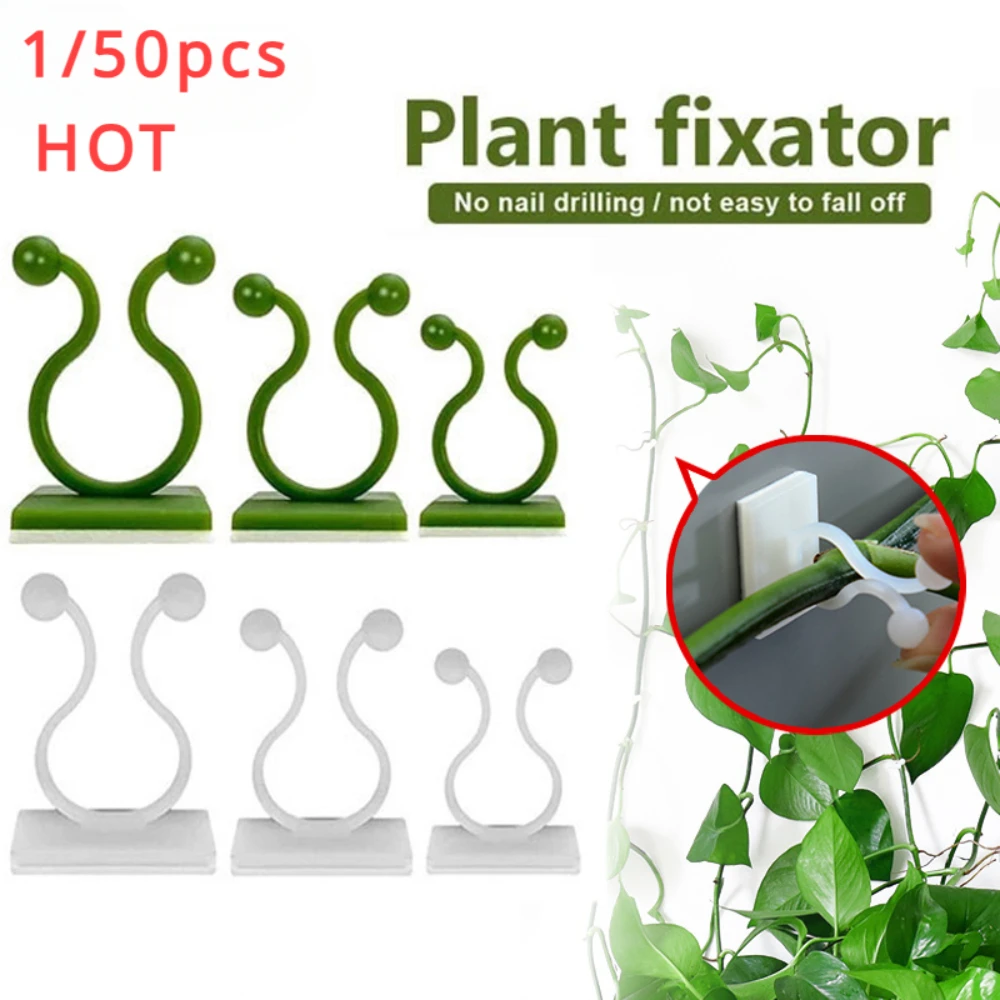 Plant Parents - 정원 액세서리에 대 한 1/30/50Pcs 식물