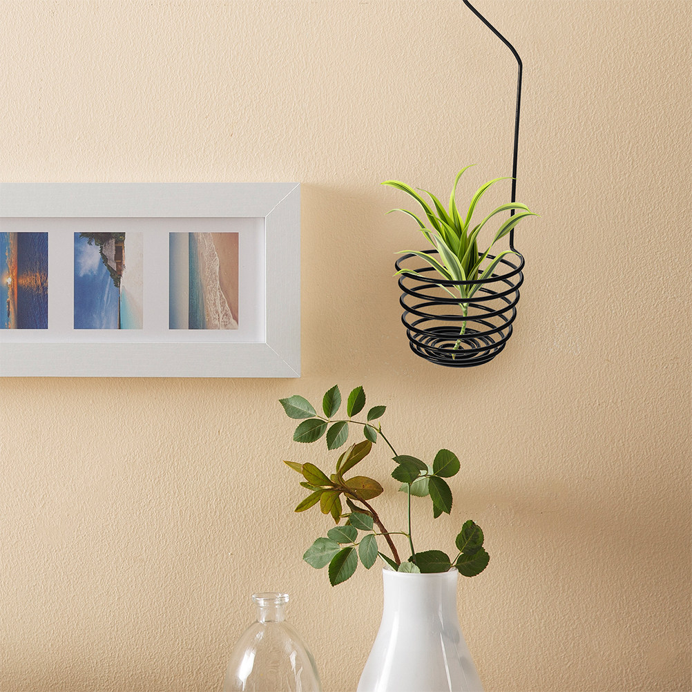 3Pcs 에어 플랜트 후크 실내 실외용 나선형 금속 홀 - Air Plant Tillandsia 리뷰 및 가격