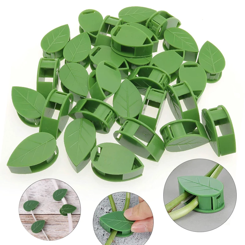 1-50Pcs 보이지 않는 식물 벽 등반 장치 포도 나 - Plant Parent 리뷰 및 가격
