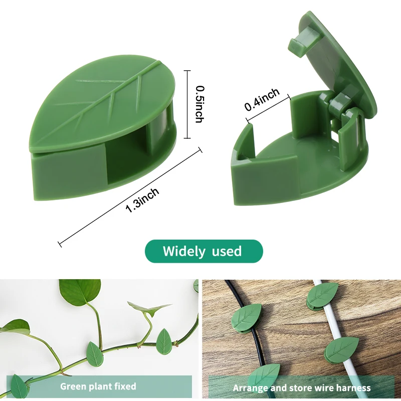 1-50Pcs 보이지 않는 식물 벽 등반 장치 포도 나 - Plant Parent 리뷰 및 가격