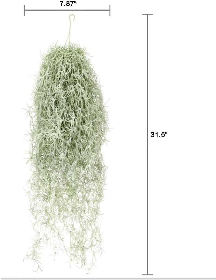 인공 몰려 들고 Tillandsia 공기 식물 31 