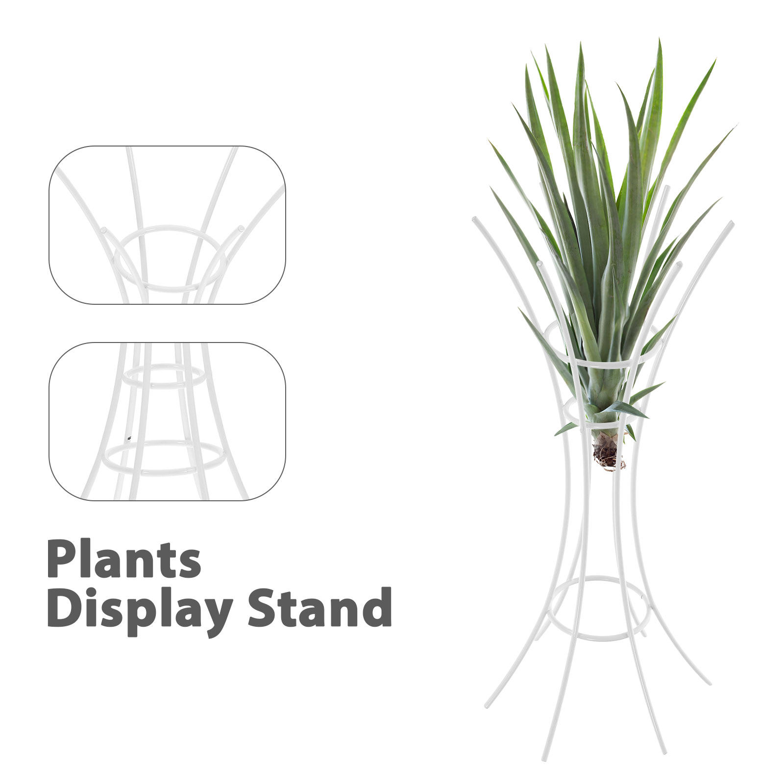 에어 플랜트 스탠드 홀더 금속 데스크탑 디스플레이 랙  - Air Plant Tillandsia 리뷰 및 가격