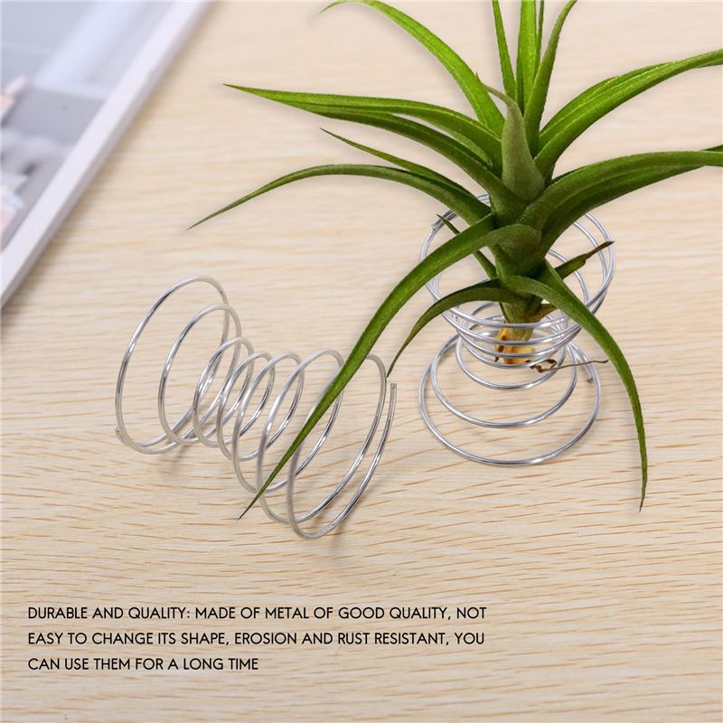 인기 상품-6개 에어플랜트 스탠드 에어플랜트 컨테이너  - Air Plant Tillandsia 리뷰 및 가격