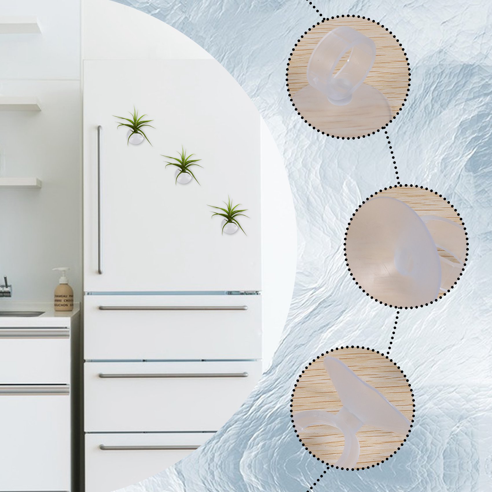 AC76-20개 에어 플랜트 홀더, 식물 화분 틸랜디아 - Air Plant Tillandsia 리뷰 및 가격