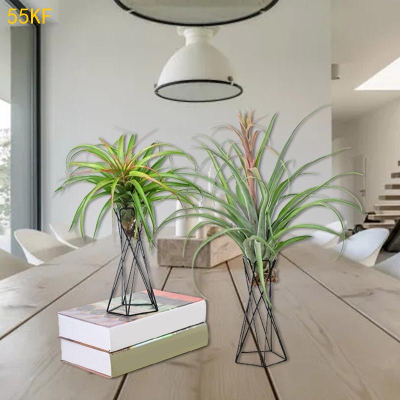 55KF 북유럽 공기 공장 홀더 금속 화분 스탠드 기하 - Air Plant Tillandsia 리뷰 및 가격