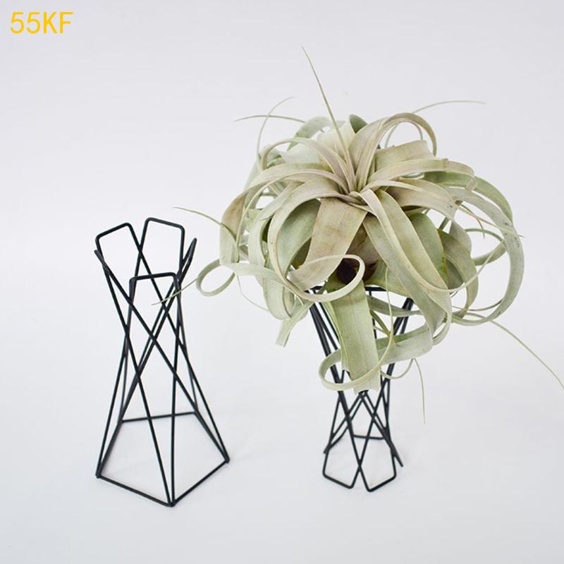55KF 북유럽 공기 공장 홀더 금속 화분 스탠드 기하 - Air Plant Tillandsia 리뷰 및 가격