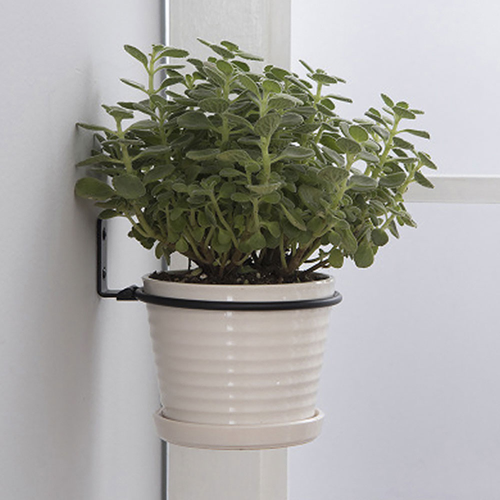 꽃 냄비 트레이 벽 마운트 냄비 반지 홀더 금속 화분  - Plant Parents 리뷰 및 가격