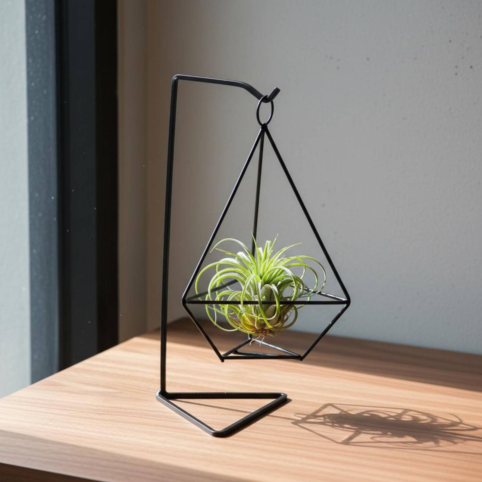기하학적 에어 플랜트 홀더 미니멀리스트 디자인 에어 플 - Air Plant Tillandsia 리뷰 및 가격