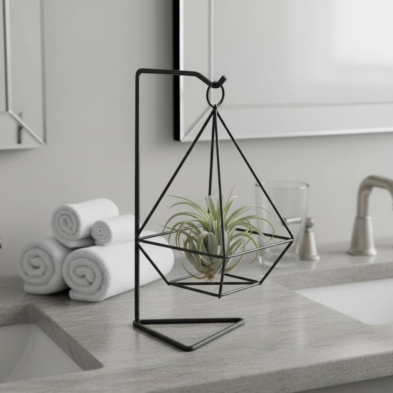 기하학적 에어 플랜트 홀더 미니멀리스트 디자인 에어 플 - Air Plant Tillandsia 리뷰 및 가격