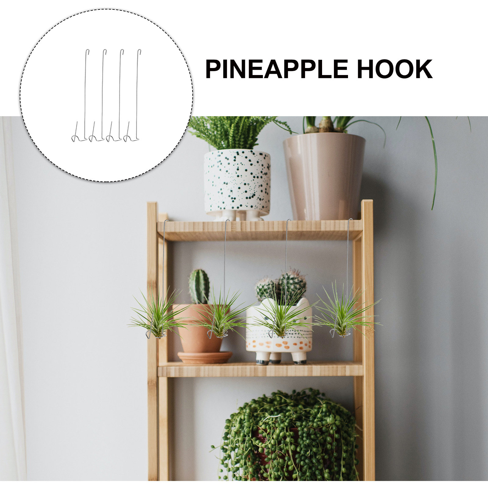 4Pcs 스테인레스 스틸 에어 플랜트 후크 틸랜디아 브 - Air Plant Tillandsia 리뷰 및 가격