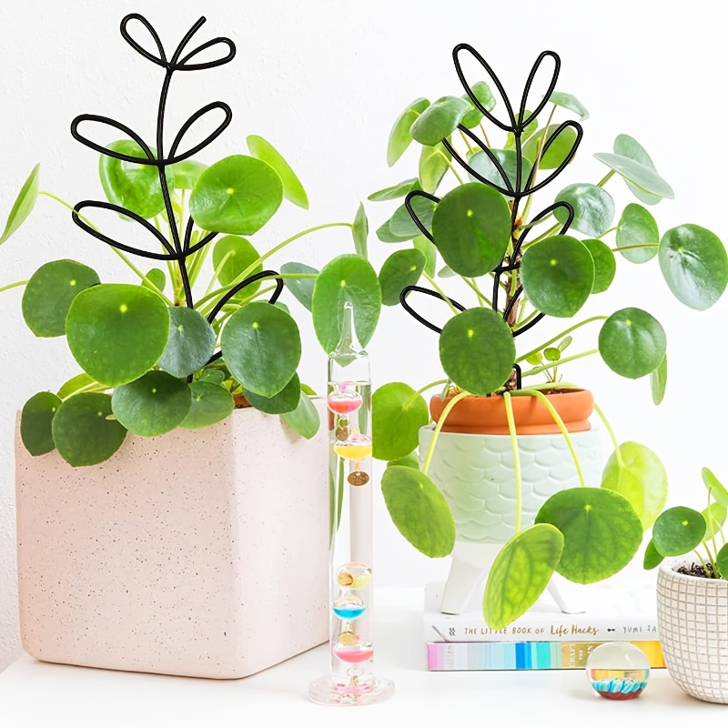 3개입 식물 지지대 클라이밍 랙 식물 모양/디자인/고정 - Plant Parents 리뷰 및 가격