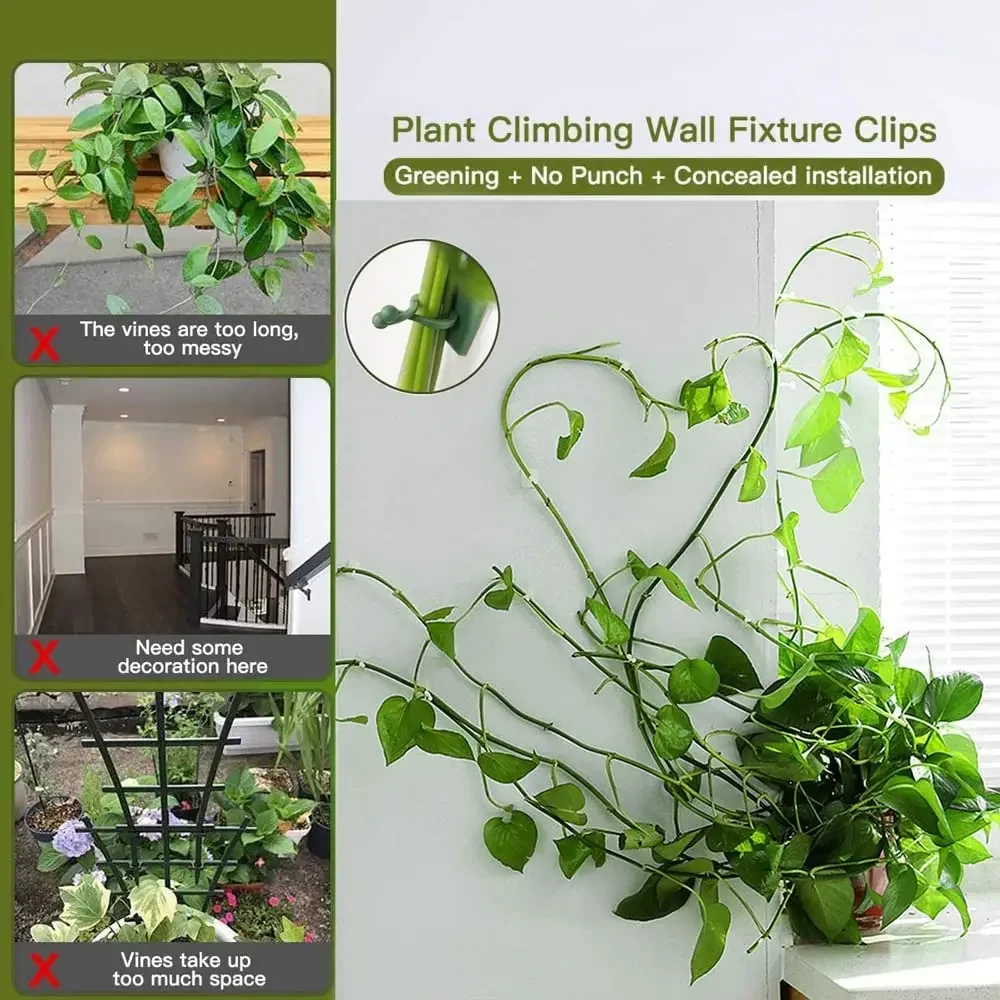 정원 액세서리에 대 한 1/30/50Pcs 식물 정원  - Plant Parents 리뷰 및 가격