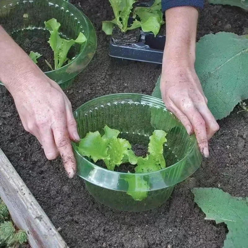 식물 달팽이 보호 링 야채 커버 식물 달팽이 칼라 가드 - Plant Parents 리뷰 및 가격