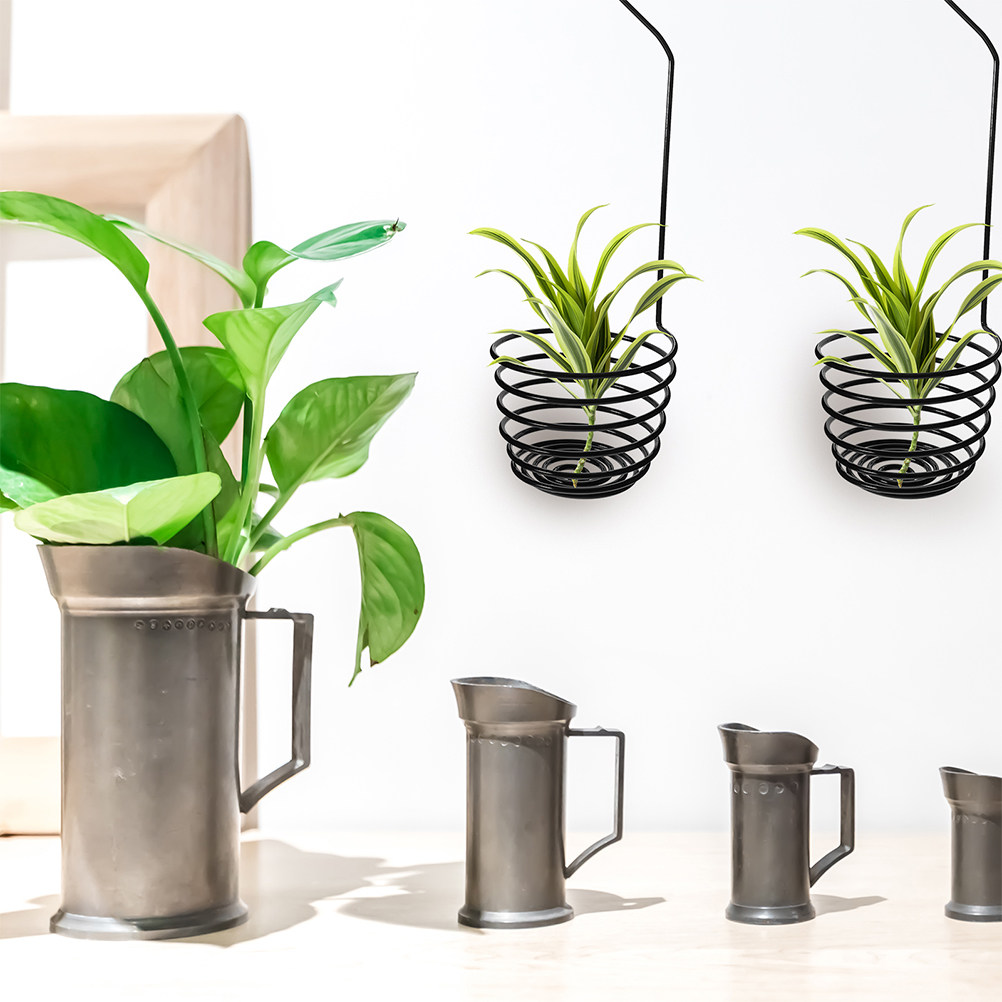 3개의 튼튼한 금속 나선형 에어 플랜트 걸이, 틸랜디아 - Air Plant Tillandsia 리뷰 및 가격
